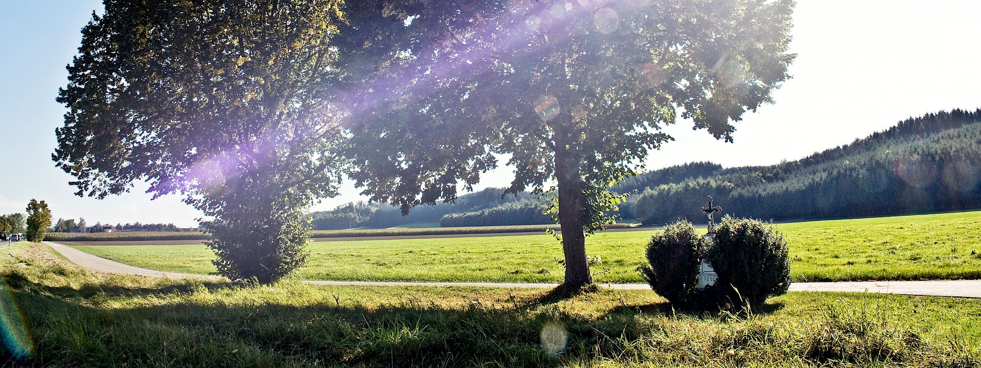 Landschaft zwischen Berkheim und Bonlanden