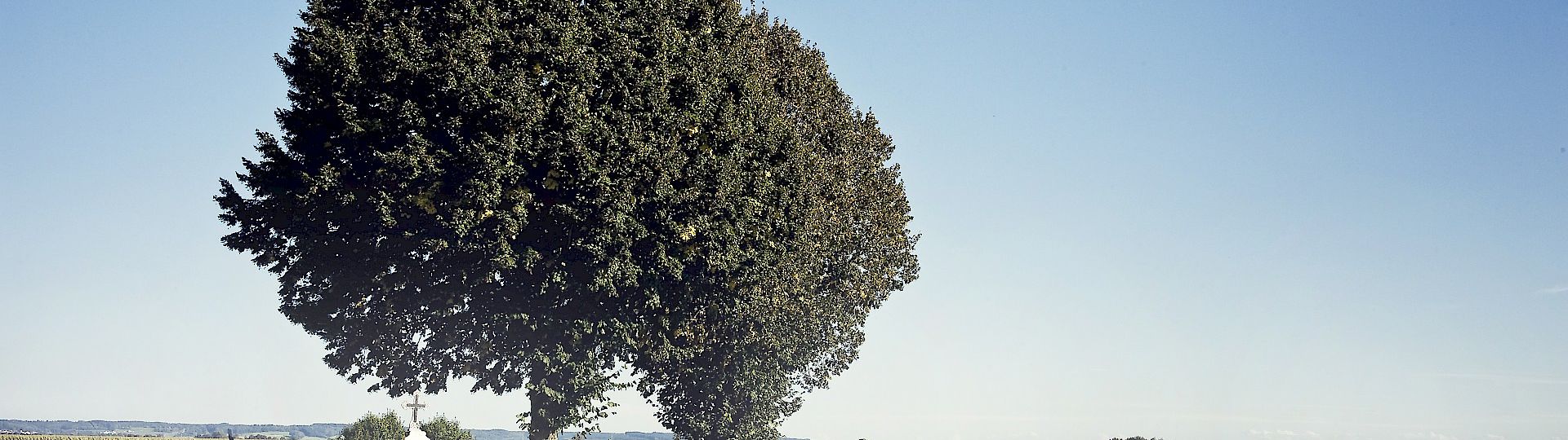 Kreuzung eines Feldweges mit Bäumen und einem Wegkreuz