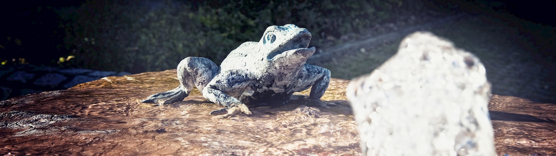 Froschfigur auf einem Stein im Wasser
