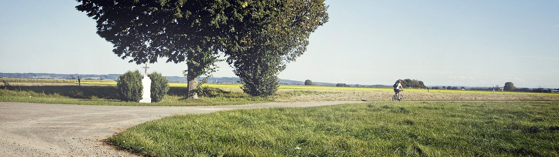 Kreuzung eines Feldweges mit Bäumen und einem Wegkreuz