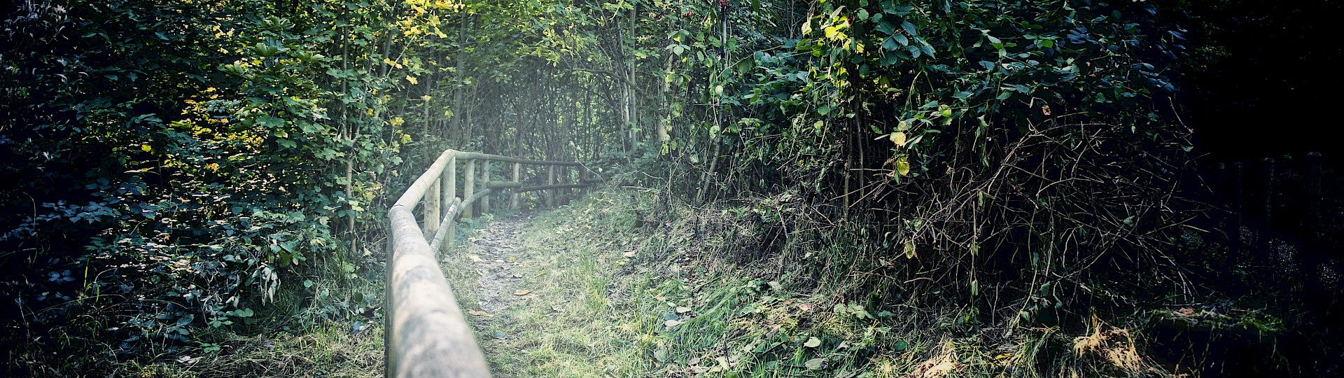 Wanderweg in einem Waldhang mit Holzgeländer