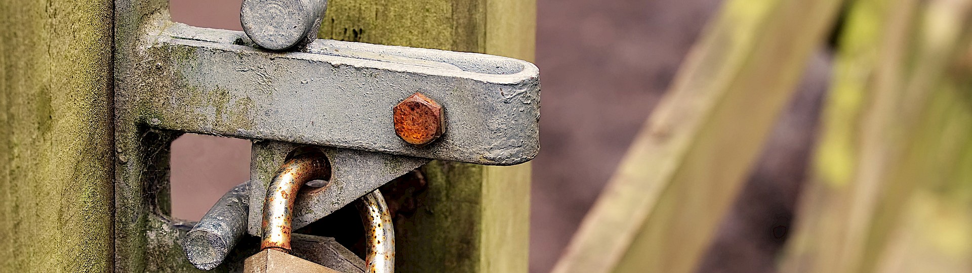 Gartentor aus Holz, welches mit einem Schloss verriegelt ist