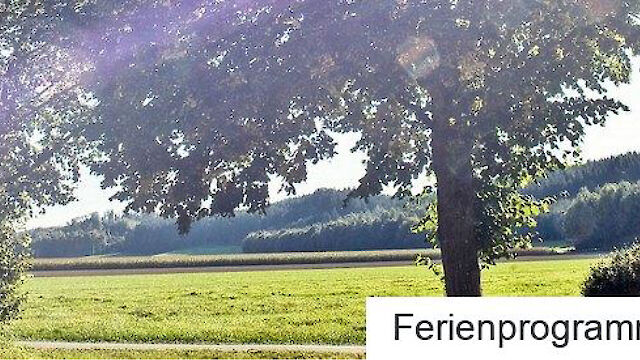 Jubelnde Kinder vor einem Gebäude im Wald